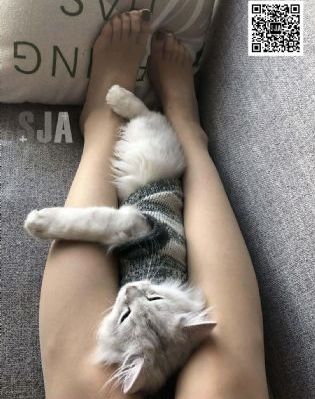 美女地狱_BD英语在线观看视频